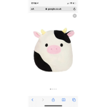 Conner the cow