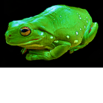 Hopе