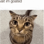 grow a cdog walk em down tycoon simulator offline