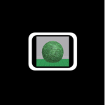 bush ball