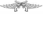 The angels of War