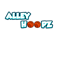 Alley-Hoopz (Work in progress)