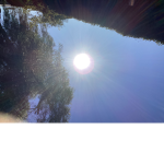 Sunny_sunny_group