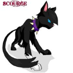 Scourge Fans
