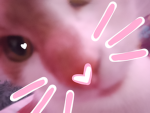 PixelEditorCass