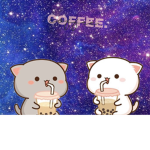 Kawaii Kitten Cafe