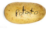 .P O T A T O.