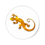 Leopard Gecko Club