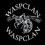 Wasp clan