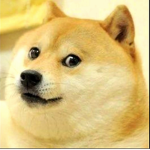 Dorito & Doge Empire