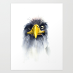Robloxia Eagles United