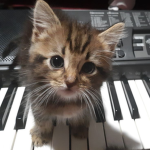 Nekoza <3