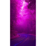 The purple_guy