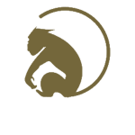 Wu-Kong