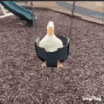 The Lord is with you