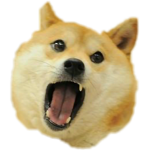 Doge Nation war