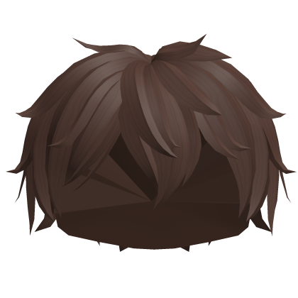 Messy Boy Hair in Brown