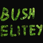Bush Elite