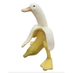 c1brr