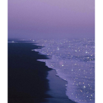 nitemaree