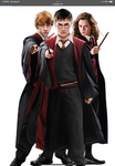 Harry Potter fans here is your home!