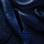 VALENTINO ࿔*:･