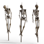 impal3d
