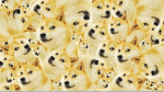 Doge’s liar
