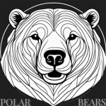 PolarBears Studio