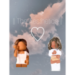 || The Aesthetics ||