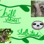 Super sloths 23