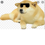 The Doggo Legion!