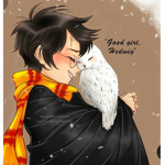 the harry potter geeks club