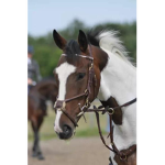 Lavender Oak Riding Academy