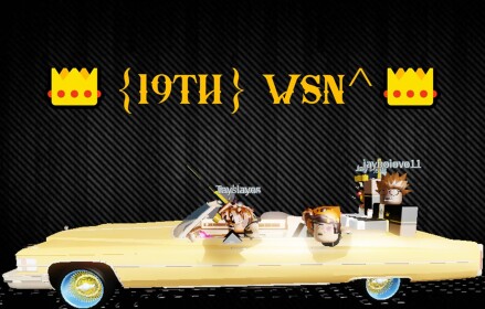WSN Hood