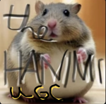 THE HAMMI’S UGC