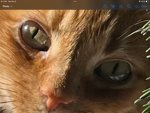 Woueiweoiuieruio