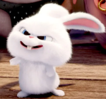 Bunny_Cult