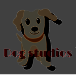 lce studios