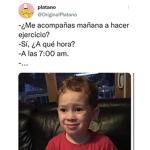 ℳaℱia city
