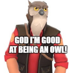 Owl Unitedd