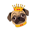 PUG'S ROBUX GROUP