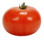 The Fat Tomatoes!