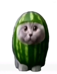 Watermelon Cat Studios