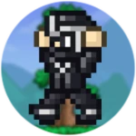 Ninja