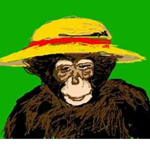 Monkeys Den pirates