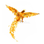 Fire Falcon Team