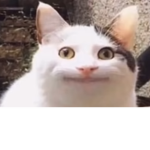 Naruto..... Sasuke!!!!!!!!!!!!!!!!!!!!!!!!!!!!!!!!