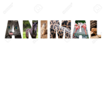 TEAM ANIMAL #####