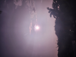 Moons cIub